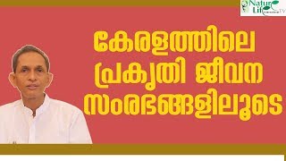 കേരളത്തിലെ പ്രകൃതി ജീവന സംരംഭങ്ങളിലൂടെ | Nature Life Hotels | Nature Foods \u0026 Restaurants