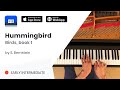 Hummingbird from Birds, book 1 by S. Bernstein