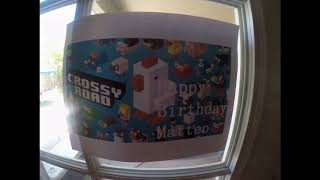 CROSSY ROAD BDAY