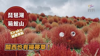 【Kiraku祕密景點①】關西也有掃把草!! 來琵琶湖必吃的LAMP煤油燈甜點!! ~ 琵琶湖箱館山360度展望台