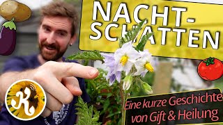 Nachtschattengewächse🌶️ - die DOSIS macht das GIFT 🧪