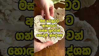 මස් වෙනුවට මේවා කන්න 🥩 Types of meat substitutes #meat #foodie #shorts #youtubeshorts #fyp