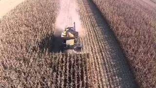 Lexion 2015 Corn Harvest