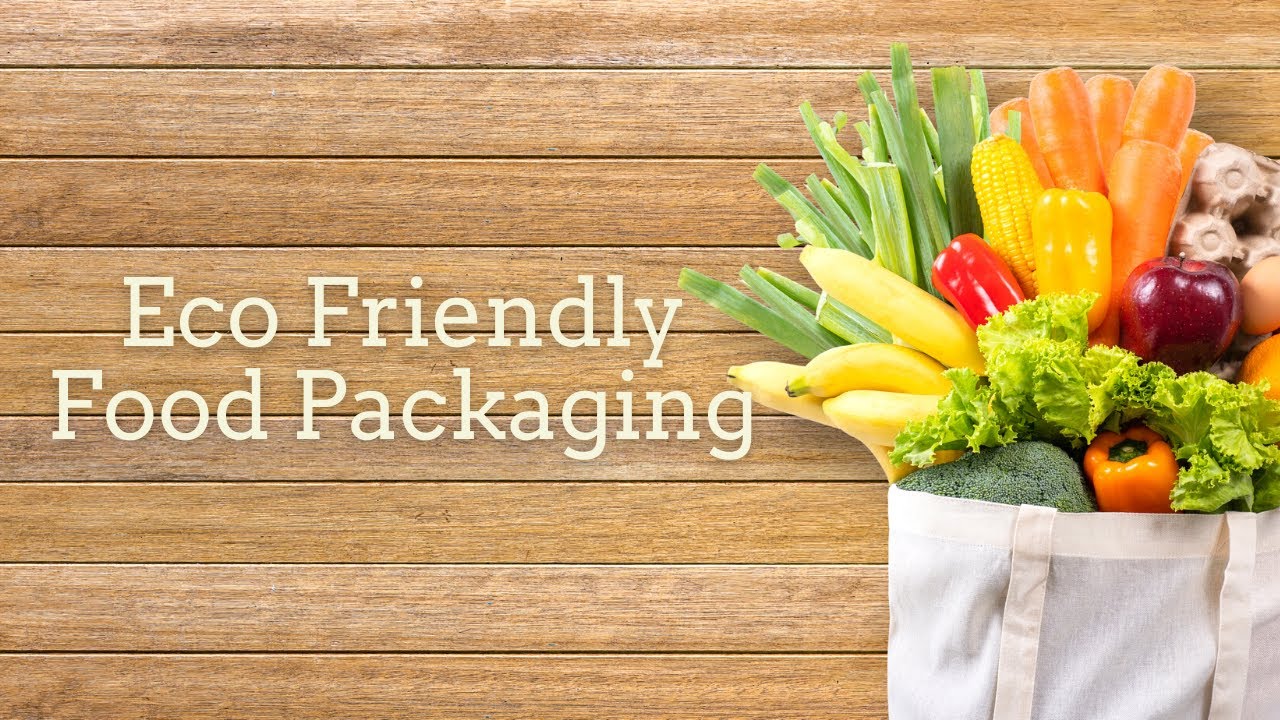 Eco-friendly Food Packaging Ideas, Materials, Tips And Lifestyle - YouTube