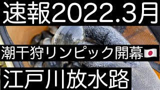 【速報！2022年3月上旬】江戸川潮干狩り