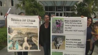 Animal advocates, community members protest Doral shelter for lacking compassion and transparency