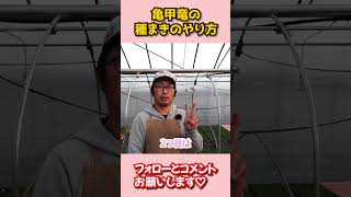 亀甲竜の種まきのやり方 512　園芸 ガーデニング 初心者