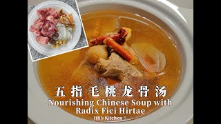 【ENG SUB】五指毛桃龙骨汤，镇咳平喘，健脾补肺 Nourishing Soup with Radix Fici Hirtae / Chinese Herbs【JiJi's Kitchen🍴】