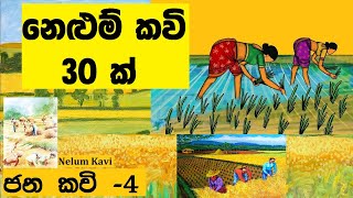 nelum kavi|නෙළුම් කවි |නෙළුම් කවි 30|ජනකවි -නෙළුම් කවි