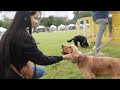 dog show in paris 2023 බව්වොත් එක්ක වරුවක් vlogs with kanchi