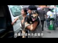 蘋果日報 20110626 患難人狗情捱餓兩個月　換八條生命