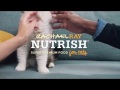 How to Date a Cat Person Episode 2 // Presented By BuzzFeed & Rachael Ray Nutrish