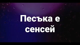 Милена Стефанова: Песъка е сенсей. Как Кирил Петков и Найо Тицин си вкараха автогол с живо излъчване