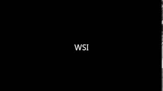 Why I will not purchase any WSI Collectible Models