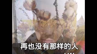 再也没有那样的人(中文版)