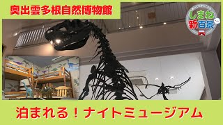 奥出雲町の泊まれる博物館！「奥出雲多根自然博物館」宿泊者限定、夜の博物館を巡るナイトミュージアムと本格イタリアンが話題！！