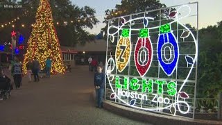 Sneak peek at Houston Zoo Lights!