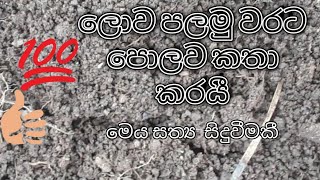 ලොව පලමු වරට පොලව කතා කරයී