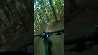 Nice jumps on trail Driver 8 / “#Shorts”