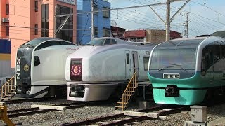 いろいろな特急列車や観光列車がやってくる伊豆急下田駅