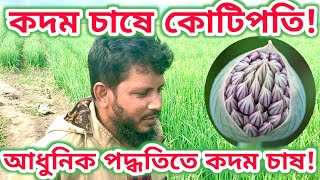 পেঁয়াজ বীজ উৎপাদনে সাফল্য নাটোরে!  রহিদুলের বাজিমাৎ | Onion Seed Production 2025 | #পেঁয়াজ_বীজ #SKM