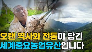 오랜 역사와 전통이 담긴 우리의 세계중요농업유산