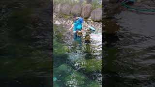 箱根だけに温泉かぁ〜www可愛い〜  #箱根園水族館#アザラシショー