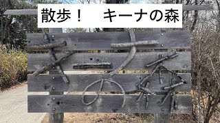 散歩！　キーナの森（兵庫県神戸市北区）