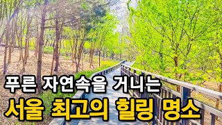 Seoul's Hidden Gems: Tranquil Trails and Royal Azalea GardensㅣSeoul travelㅣSeoul trekking