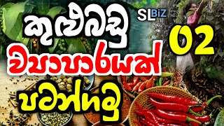 ලක්ෂ ගණන් ලාභ තියෙන කුළු බඩු ව්‍යාපාරය | Business Ideas Sinhala | kulubadu Business Sinhala | SL BiZ