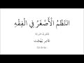 قراءة النظم الأصغر في الفقه للأطفال نظم عامر بهجت وقراءة علي العامري