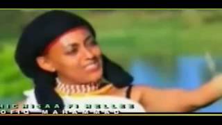 BEST SHAGGOYYE #TOFIQ, Dhichisa fi Heellee|| OROMO MUSIC