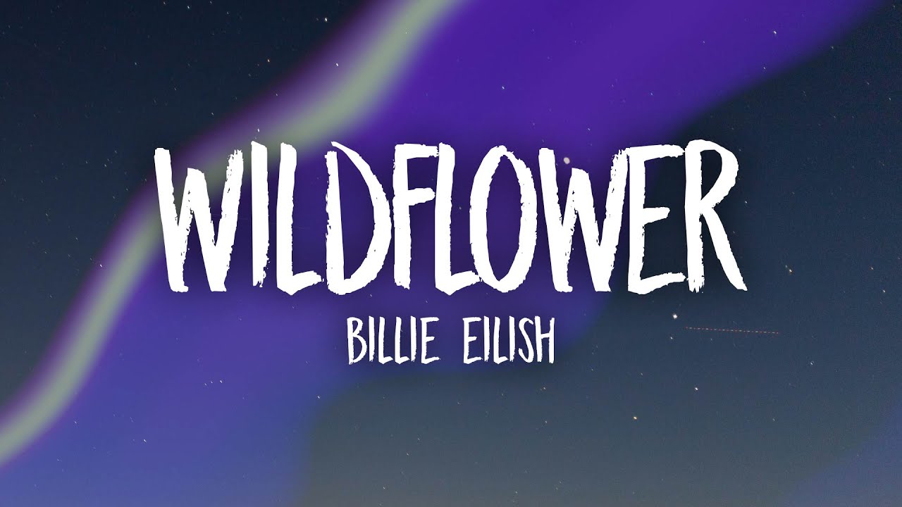 Billie Eilish Wildflower Chords Chordify