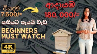 Beekeeping 015: මී මැසි පාලනයෙන් #profit ගන්න විදිහ | Rs 180,000+ Income | Beginners must watch.