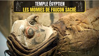 Un ÉTRANGE RITUEL INCONNU découvert en Égypte
