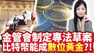 金管會制定專法草案 比特幣能成「數位黃金」？！ 【中時財知道】EP49謝明智 @Wantrichchinatimes