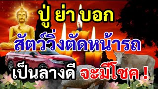 โชคดีหรือโชคร้าย! สัตว์วิ่งตัดหน้ารถ ตามความเชื่อโบราณ