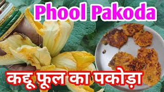 गांव में बनाया सीताफल फूल का पकोड़ा  / में बनाया कद्दू फूल का पकोड़ा  / phool ka pakoda