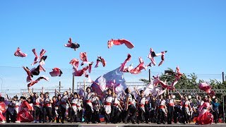 [4K]常笑　2017犬山踊芸祭　ファイナルチーム演舞（広角）