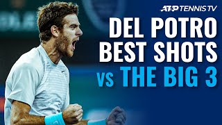 Juan Martin del Potro Best ATP Shots & Rallies vs The Big 3!