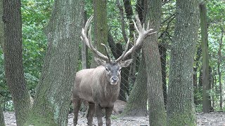 BUDAKESZI VADASPARK