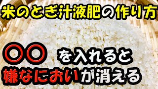 米のとぎ汁で有機液肥を作る方法