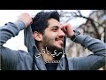 Sadir Jubein - Dari Ya albi ft.wafaa jarkas  سدير جبين  - داري يا قلبي