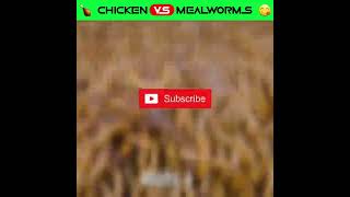 Top Experiment video🤯😱 ~ Mealworms Eating @MR. INDIAN HACKER @Crazy XYZ @MrBeast #SHORTS #VIRAL