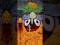 ଘରୁ ବାହାରିଲେ ତୋତେ ମରୁଛି ମୁଣ୍ଡିଆ jaganatha bhajan shortvideo treding babuli palai