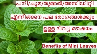 പനി/ചുമ/അസിഡിറ്റി/തുമ്മല്‍ ഇവക്കു  ഉത്തമ ഔഷധം / Benefits of Mint leaves/No.201