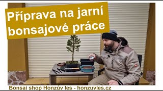 Příprava na jarní bonsajové práce