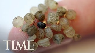 Researchers Have Found Microplastics In Human Waste For The First Time | TIME