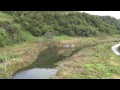 山形県小国町ー横川ダムー