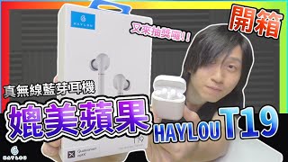 抽獎囉!! HAYLOU T19 真無線藍芽耳機 媲美蘋果 CP值超高 低延遲 實測 音色測試 麥克風抗躁 airpods pro 小米藍牙耳機AirDots Air2 可參考 【UNBOXING】